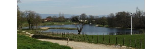 Plan d'eau des Teppes