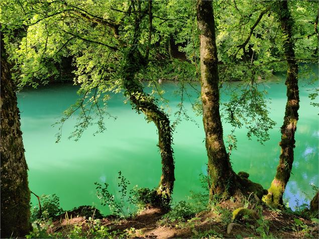 Lac bleu au printemps - Marilou Perino / Pérouges Bugey Tourisme