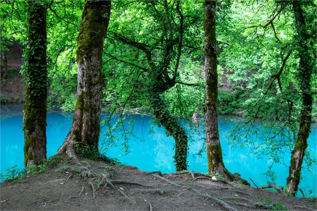 l'eau turquoise du lac bleu en été - Marilou Perino / Pérouges Bugey Tourisme