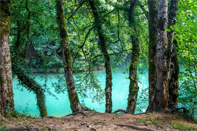 Lac bleu sous la lumière - Marilou Perino / Pérouges Bugey Tourisme