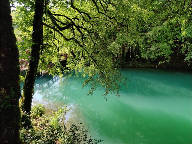 Lac bleu au printemps - Marilou Perino / Pérouges Bugey Tourisme