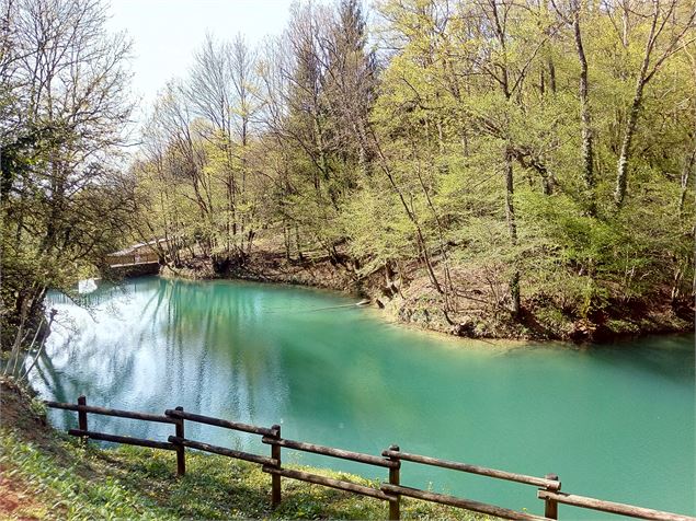 Le lac bleu - Marilou Perino / Pérouges Bugey Tourisme