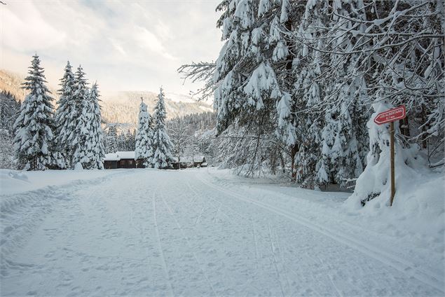 A proximité du hameau des Albertans - Yvan Tisseyre / OT Vallée d'Aulps