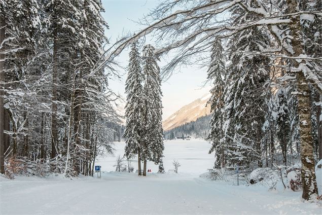 Vue sur le Lac de Montriond au départ de la piste - Yvan Tisseyre / OT Vallée d'Aulps