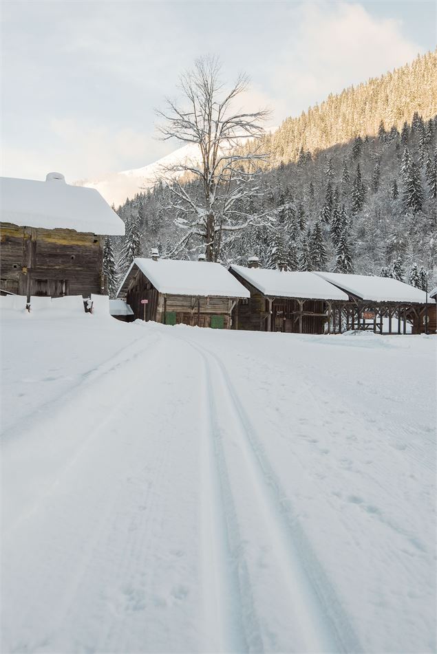 Les anciens chalets des Albertans - Yvan Tisseyre / OT Vallée d'Aulps