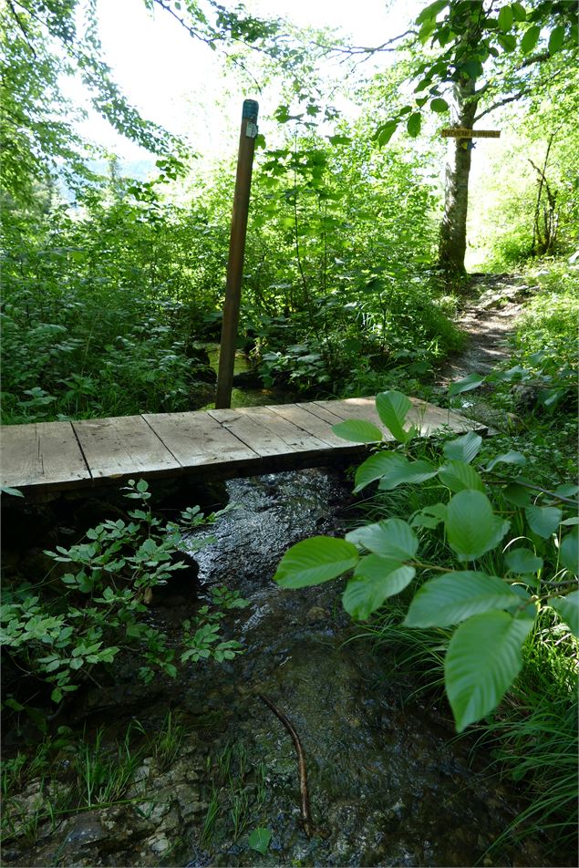 pont 3 cascades - Alizée Gréau