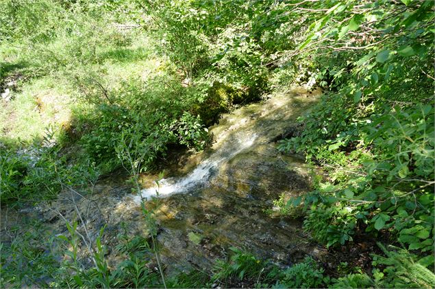 3 cascades forêt - Alizée Gréau