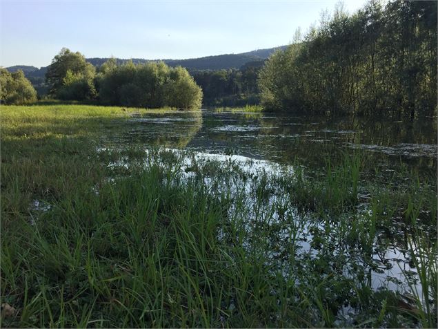 deuxième vue sur le lac - Mélanie Poirson