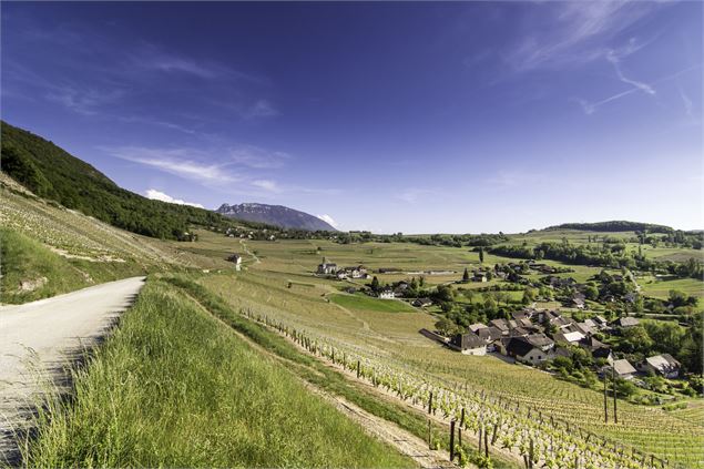 Entre lac et vignobles - OTI Aix les Bains Riviera des Alpes