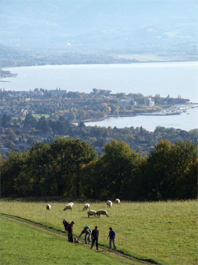 pointdevuelacbourgetforetcorsuetaixlesbains - F. Fouger