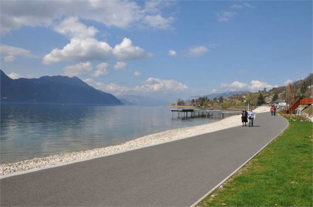 Cap des Séselets - Point de Vue lac du Bourget - François Fouger