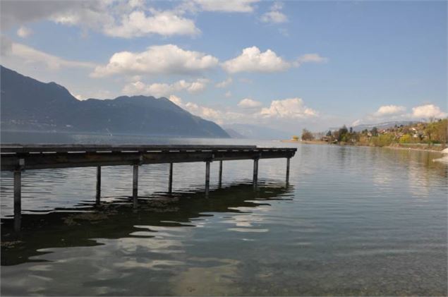 Cap des Séselets - Point de Vue lac du Bourget - François Fouger