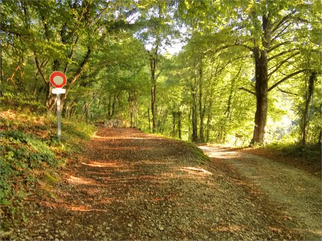 sentier avec un rocher au milieu à prendre pour joindre Belvédère des Tours de César - Office d Tour