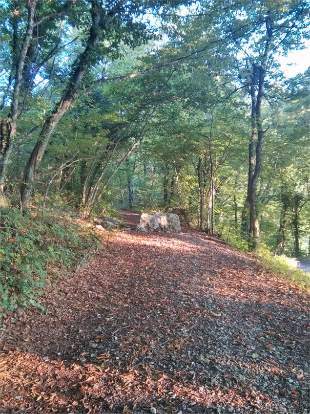 Sentier ombragé avec montée raisonnable pour joindre le belvédère des tours de César - Office d Tour