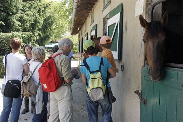 VisiteJumping2015_credit JP Tridon - PC.Bressan (4) - Catherine BREGA