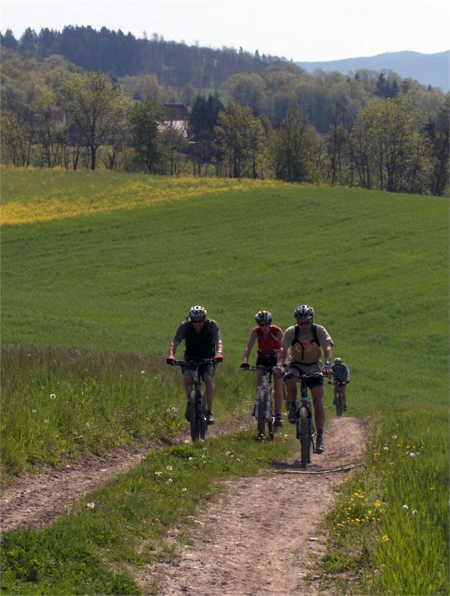 VTT Etangs de Crosagny - La Maison du Vélo