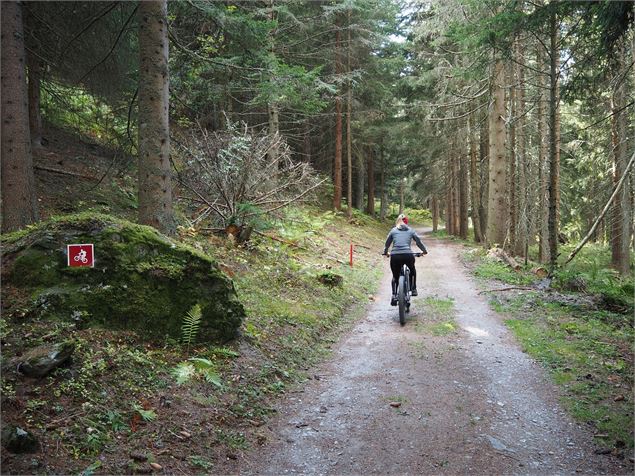 Col des Planches Bike N°778 - verbier.ch