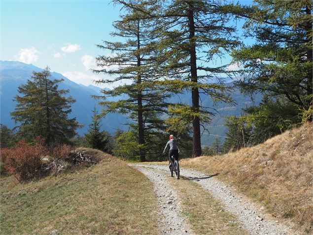 Col des Planches Bike N°778 - verbier.ch