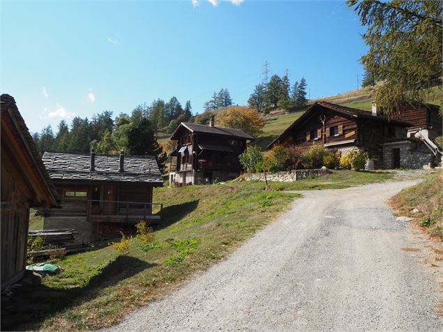 Col des Planches Bike N°778 - verbier.ch