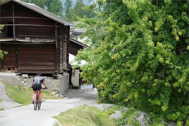 Rénarosse - verbier.ch