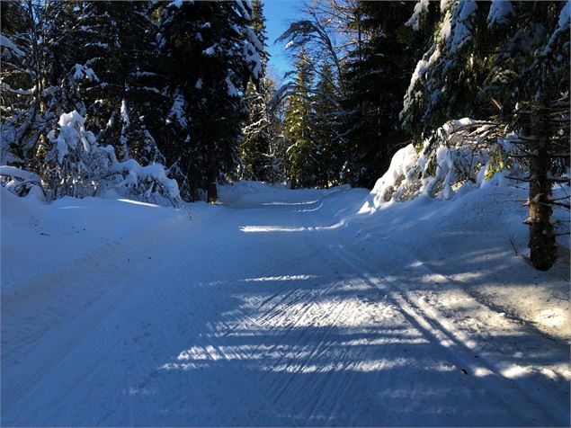 Piste de ski de fond de Lachat - Maxime Ballet