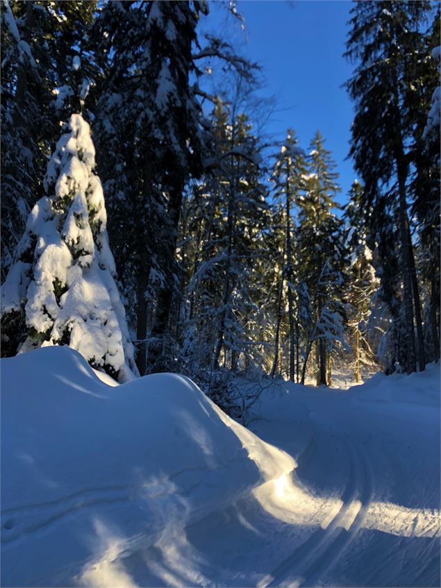 Piste de ski de fond de Lachat - Maxime Ballet