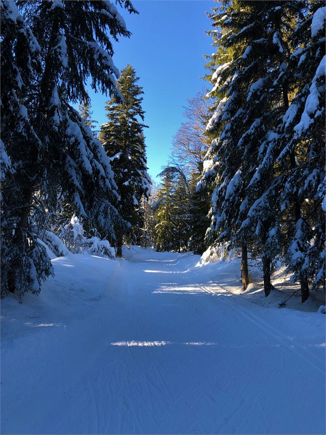 Piste de ski de fond de Lachat - Maxime Ballet