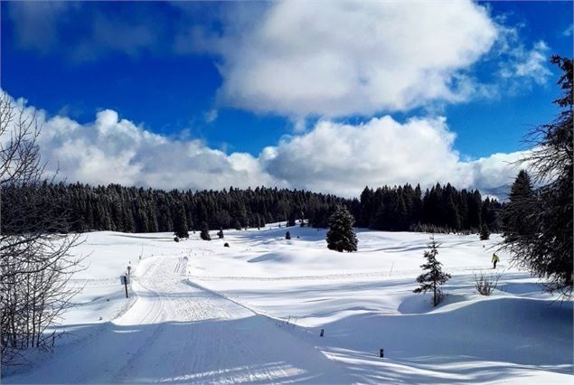 Piste de ski de fond de Lachat - Maxime Ballet