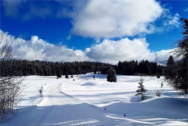 Piste de ski de fond de Lachat - Maxime Ballet