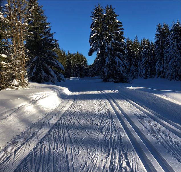 Piste de ski de fond de Lachat - Maxime Ballet