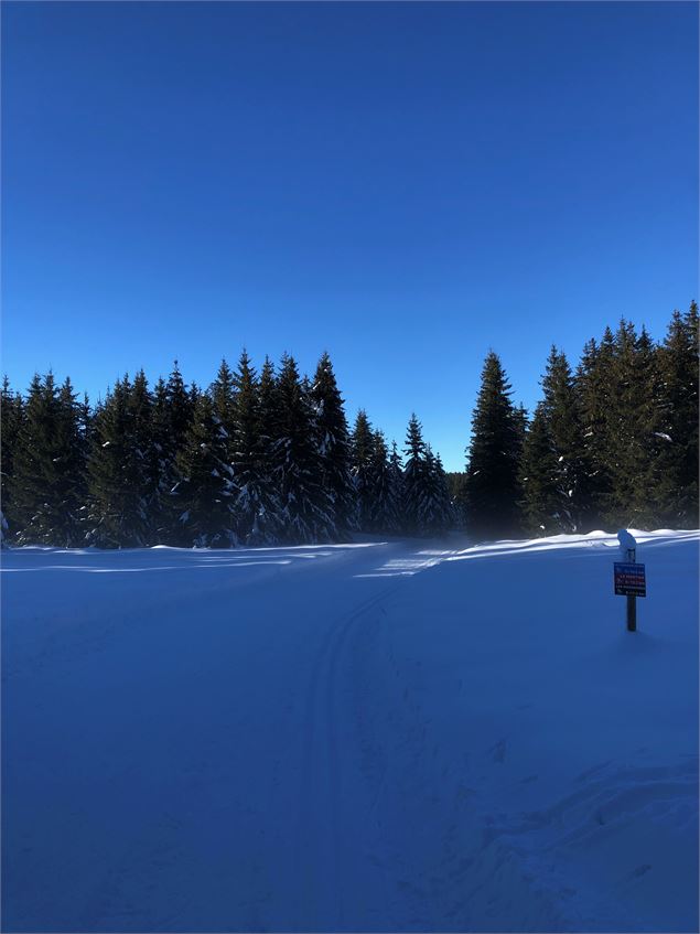 Piste de ski de fond de Lachat - Maxime Ballet