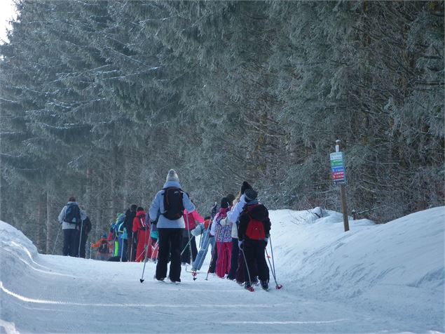 Piste de ski de fond de Lachat - Maxime Ballet