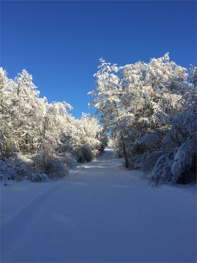 Montée de la Tour en ski de fond depuis les Plans d'Hotonnes - © M.Ballet