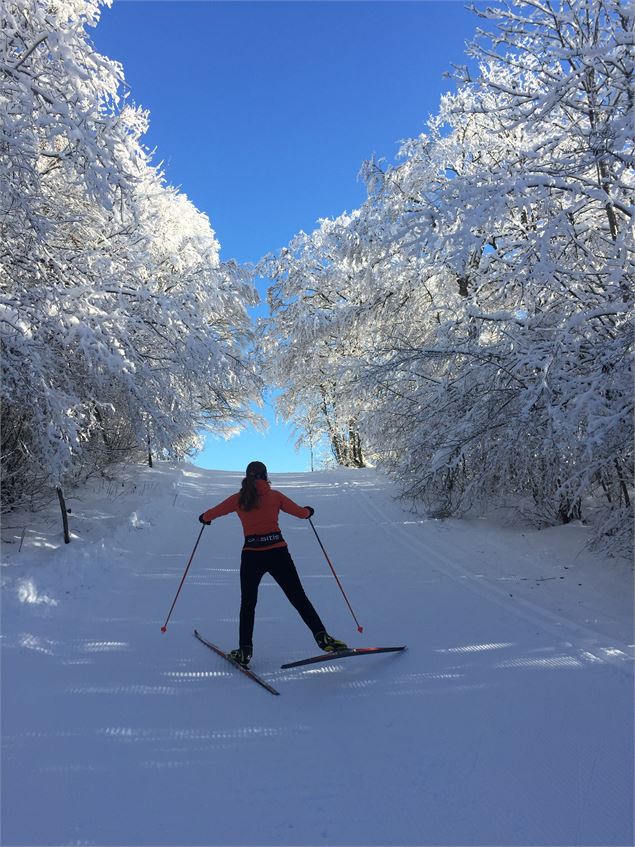 Montée de la Tour en ski de fond depuis les Plans d'Hotonnes - © M.Ballet