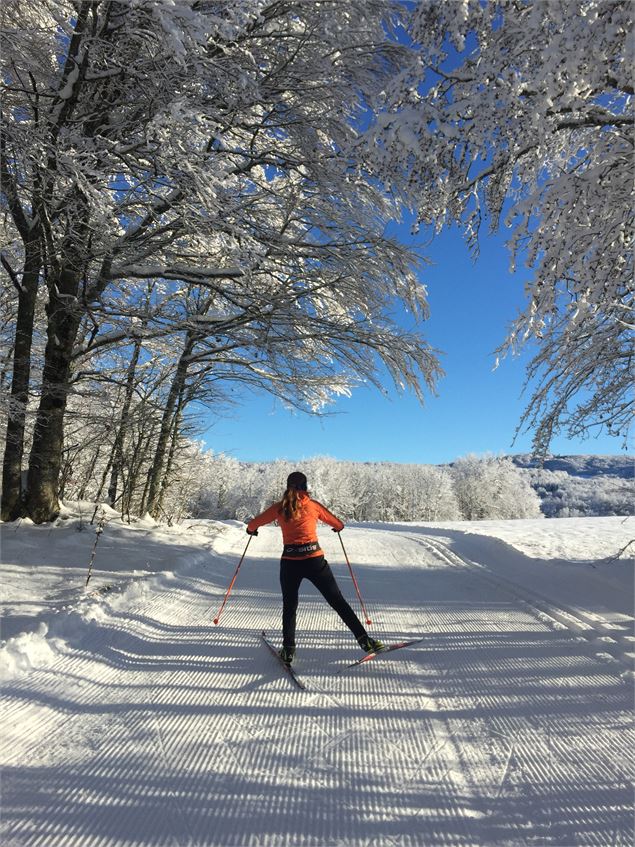 Montée de la Tour en ski de fond depuis les Plans d'Hotonnes - © M. Ballet