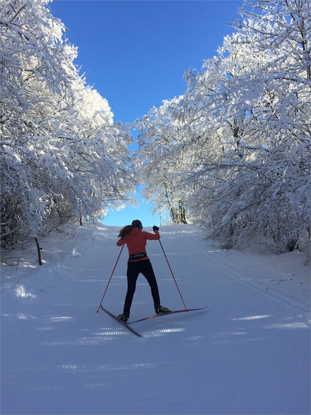 Montée de la Tour en ski de fond depuis les Plans d'Hotonnes - © M. Ballet