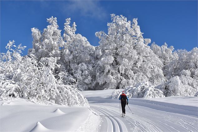 Ski de fond sur le Plateau de Retord - © M.Ballet