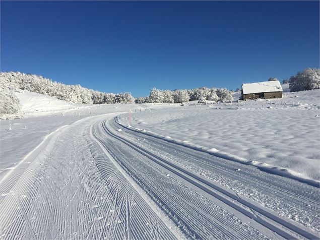 Les Solives en ski de fond sur le Plateau de Retord - © M.Ballet