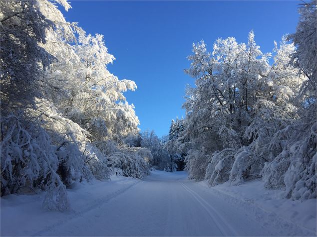 Montée de Pré Brachet en ski de fond depuis les Plans d'Hotonnes - © M.Ballet