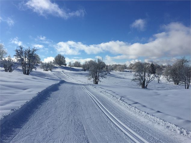 Piste de ski de fond Près des taillis sur le Plateau de Retord - © M.Ballet