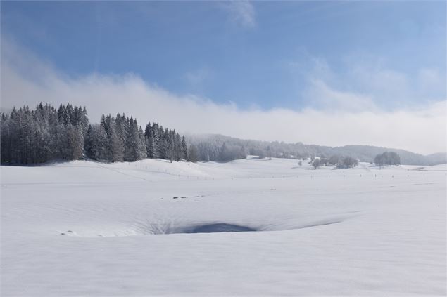 Combe de la Vézeronce sur le Plateau de Retord - © Philippe Carrara