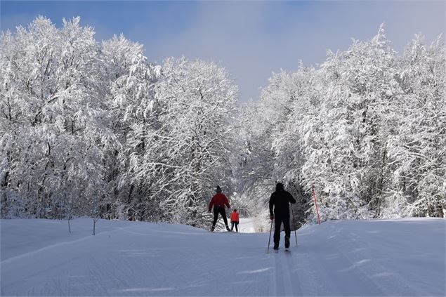 Combe de la Vézeronce sur le Plateau de Retord - © Philippe Carrara