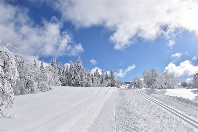 Plateau de Retord - © Philippe Carrara