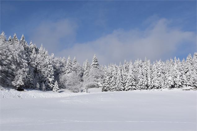 Combe de la Vézeronce sur le Plateau de Retord - © Philippe Carrara