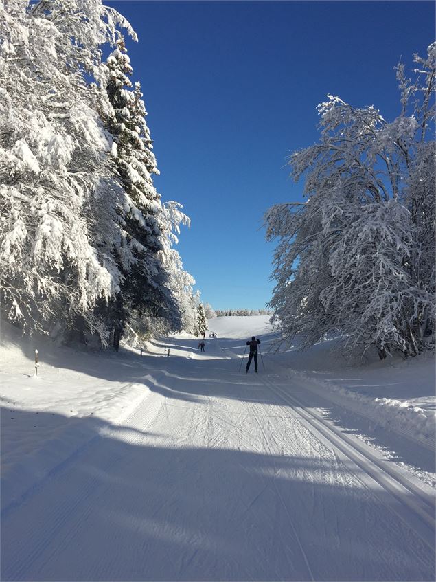 Combe de la Cua en ski de fond sur le Plateau de Retord - © Philippe Carrara