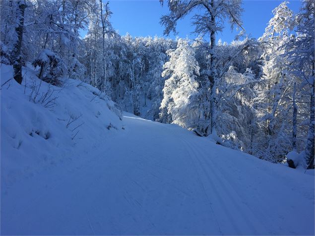 Montée en ski de fond en direction des Solives sur le Plateau de Retord - © Philippe Carrara