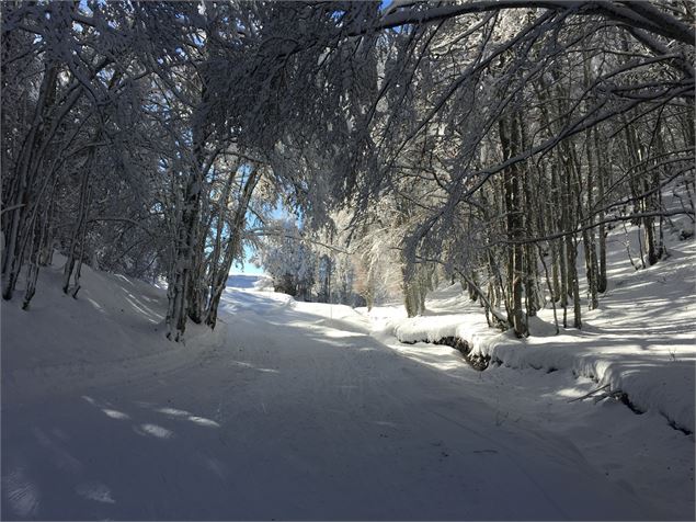 Montée en ski de fond en direction des Solives sur le Plateau de Retord - © Philippe Carrara