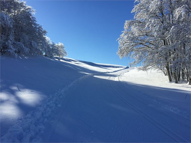 Montée en ski de fond vers la Platière sur le Plateau de Retord - © Philippe Carrara