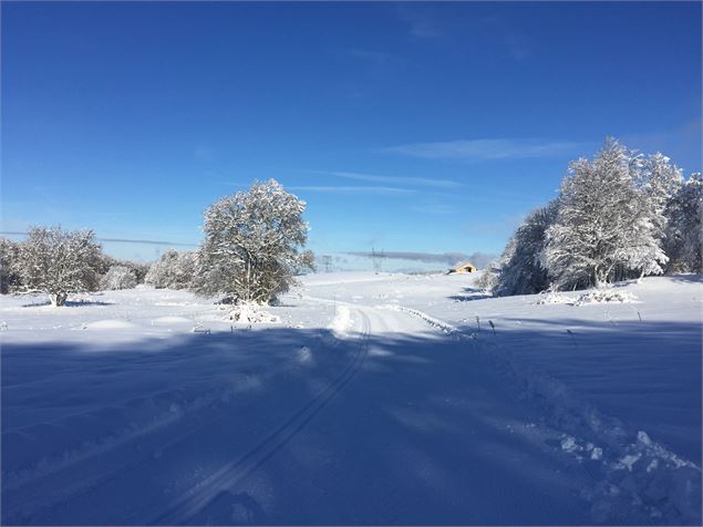 Montée en ski de fond vers la Platière sur le Plateau de Retord - © Philippe Carrara