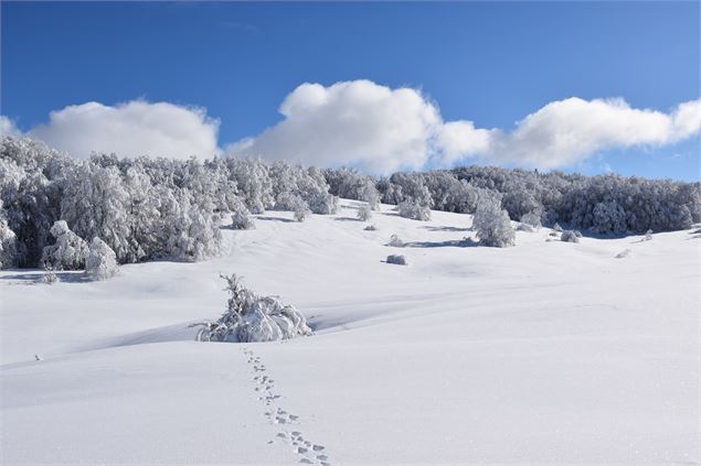 Plateau de Retord - © Philippe Carrara